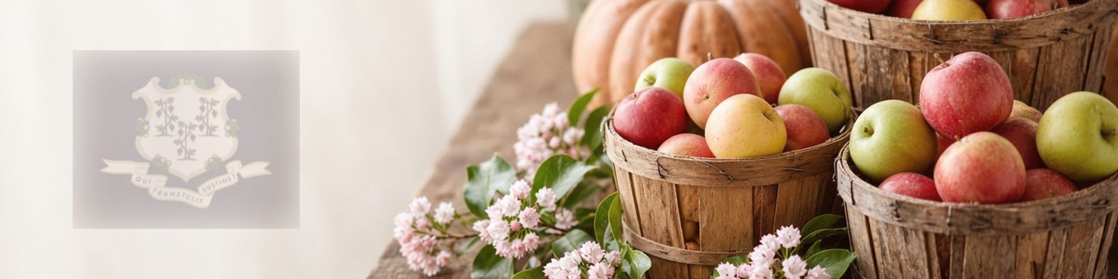 Faded Connecticut flag beside apples and pumpkins on a farm stand with mountain laurel, the state flower.