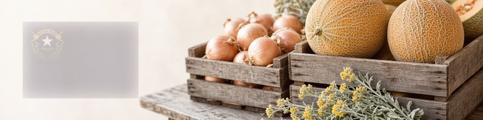 Faded Nevada flag beside cantaloupes and onions on a farm stand with sagebrush, the state flower.