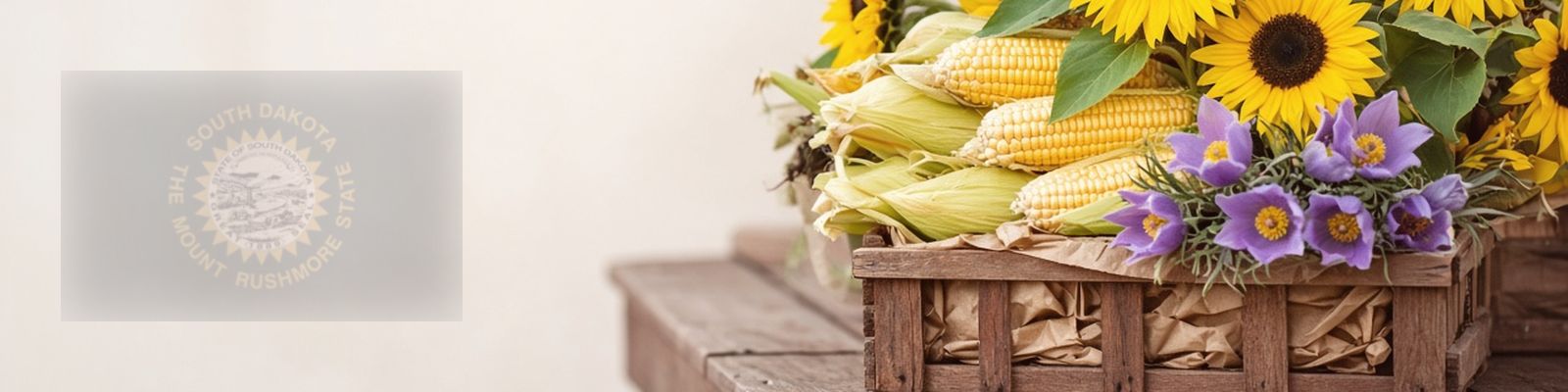 Faded South Dakota flag beside sunflower heads and sweet corn on a farm stand with pasqueflowers, the state flower.
