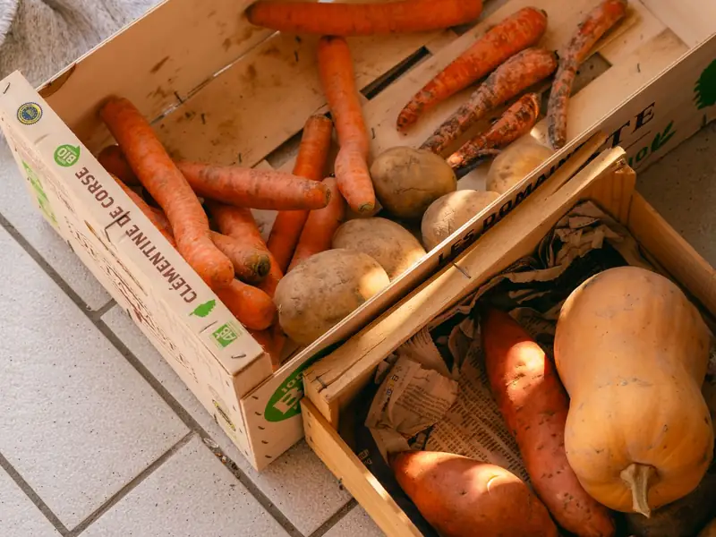Boxes of carrots, potatoes and squash from a harvest